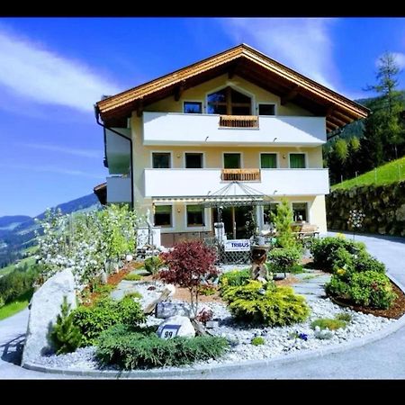 Ferienwohnungen Hinterstein Hart im Zillertal Ngoại thất bức ảnh