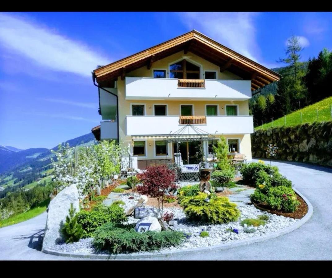Ferienwohnungen Hinterstein Hart im Zillertal Ngoại thất bức ảnh