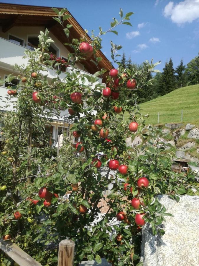 Ferienwohnungen Hinterstein Hart im Zillertal Ngoại thất bức ảnh